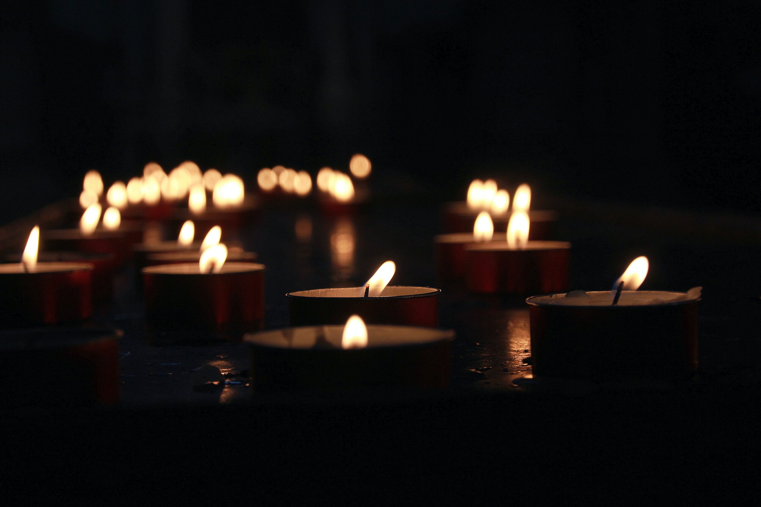 zoran-kokanovic-5FOfresB1G4-unsplash